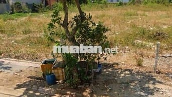 Chính chủ sang nhanh đất thổ cư 100m2, đường Ngô Gia Tự, BRVT, sổ sẵn