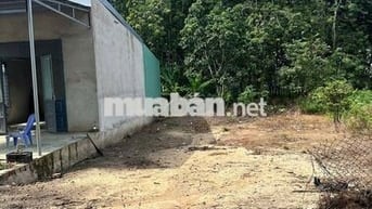 đất gần trường gần chợ dân đông