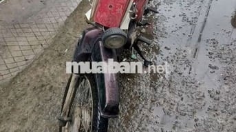 Honda Cub 70cc