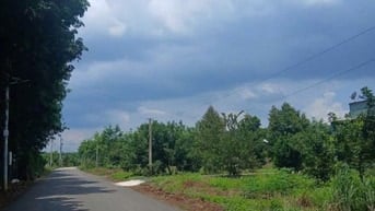 Cần Bán gấp lô vườn mít, 250m2, mặt tiền DH507, gần trường chợ