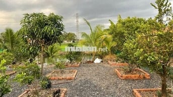 Đất chính chủ, SHR (DT 7x50m) giá 900tr.Cách Thị Ủy Trảng Bàng 300m