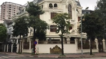 CC bán BT lô góc 3 mặt thoáng 240m2 MT 20m phố Trần Thái Tông