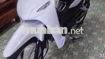 Bán Ware apha 2024 mới keng