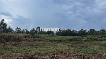 Đất Thổ Cư Diện Tích Lớn - Đê Quốc Phòng