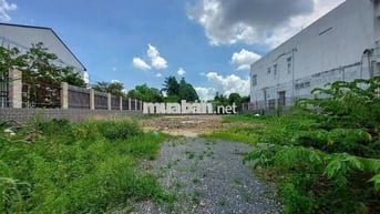 600m2 Chỉ 860tr GẦN CHỢ LONG NGUYÊN , BÀU BÀNG dân cư đông