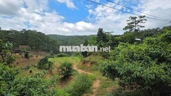 BÁN LÔ ĐẤT ĐẸP GIÁ RẺ – PHƯỜNG XUÂN TRƯỜNG, ĐÀ LẠT