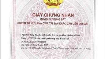 🌟 BÁN LÔ ĐẤT SIÊU ĐẸP – GIÁ CHỈ 3,1 TỶ 🌟  📍 Lô D23-26, KĐT số 7B, Xã Đ