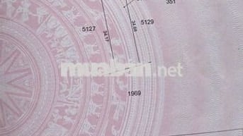 🔥 BÁN GẤP – ĐẤT MẶT TIỀN GẦN ĐƯỜNG HỒ CHÍ MINH – ĐẮK LẮK