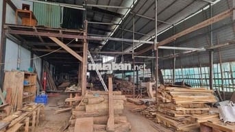 ĐẤT MẶT TIỀN DT 824 , ĐIỆN 3Pha, XE CONTAINER , ĐƯỜNG BÊ TÔNG 500M2