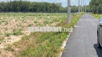 chỉ 200Tr sở hữu ngay miếng 200m2 Giá Ngộp tại dầu Tiếng Tp.Hcm