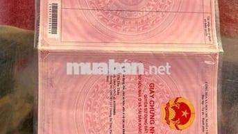 cần bán gấp lô đất ngay trung tâm thị trấn Gò Dầu, tỉnh Tây Ninh.