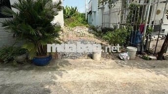 🏠 BÁN GẤP ĐẤT TÂN XUÂN – GIẢM 200 TRIỆU – GIÁ CHỈ 2,6 TỶ