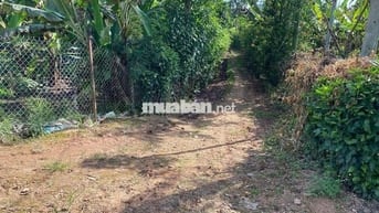 Đất nền full thổ 150m2 , đường 6m , chính chủ