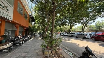 Mặt phố Vạn Phúc giá 34 tỷ, 62mx5 tầng, MT 5m