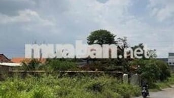 🔥 ĐẤT NỀN AN PHƯỚC – VỊ TRÍ VÀNG NGAY SÁT KCN 🔥 📍 Vị trí: Ngay trung t