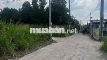 An Phước Long Thành – Săn ngay kẻo tiếc cả thanh xuân sổ Hồng riêng