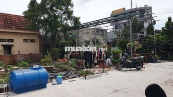 Đất thổ cư 11x12m, gần trường Tam Đông, trường Bách Nghệ
