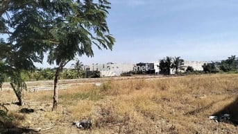 ĐẤT GIÁ MỀM QUANH CÁC KHU ĐÔ THI TẠI THỊ TRẤN ĐỨC HOÀ