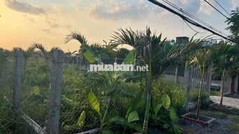 MẶT TIỀN  ĐƯỜNG BÙI VĂN SỰ - DT  15,5M X 35M - DÂN ĐÔNG ĐÚC  - 4.3 TỶ