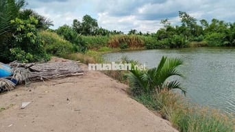 🔥 Đất lớn Cần Giờ 1.5ha (15.000m²), giá chỉ 800tr/1000m².