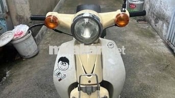 cub 50 cc bstp