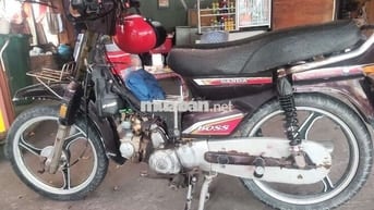 Cần bán gấp sanda boss