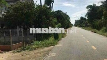 Bán đất mặt tiền đườn bến súc xã an phú củ chi có tổ cư