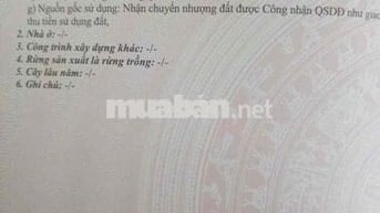 cần bán miếng đất lúa đường nhựa xe hơi tới đất 25x67 1657.2 mv