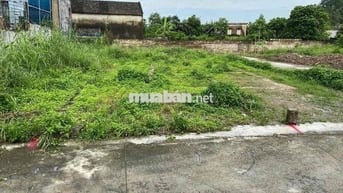 Cần Bán Đất Cạnh Trường Tiểu Học Lại Xuân