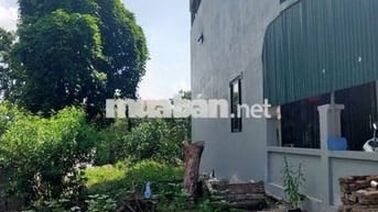 Cần bán nhanh đất trục đường chính Phượng Đồng, Phụng Châu.