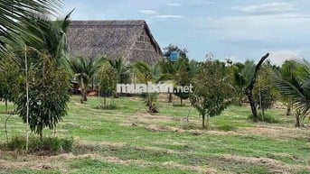 Bán 2 sào 9 đất trồng sầu riêng + nhà rẫy Quảng Tiến
