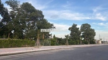CẦN BÁN NHANH LÔ ĐẤT MẶT TIỀN ĐƯỜNG HỘI BÀI CHÂU PHA - BR VŨNG TÀU