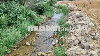 bán nhà vườn khủng  bám suối 16.000m cób400m đất ở phù hợp nghĩ dưỡng