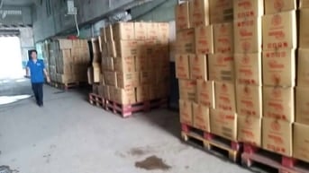 Việc Làm Ngay – Lao Động Phổ Thông Thu Nhập 8–10Triệu