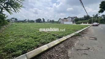CHỦ BÁN GẤP 2 LÔ ĐẤT ĐẸP NHẤT KHU VỰC NGỌC LẶC - 100m2 - FuLL THỔ CƯ