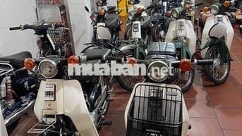 các dòng cub nhật