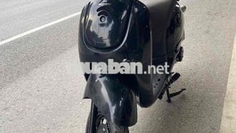 Xe ga 50 đời cao zin đẹp như hình