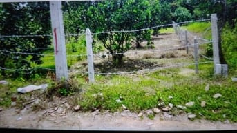 Chính chủ cần bán đất không dính quy hoạch 