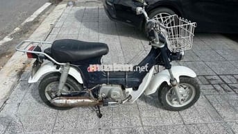 xe 50 máy êm ru