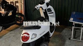 Scoopy