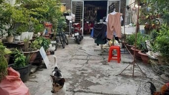 ✅Nhà hẻm 6m Lý Đạo Thành, p16 ,q8