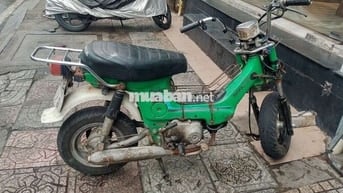 Chaly 50  (kgt)