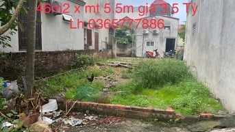 BÁN ĐẤT CỔ BẢN, TỔ 6 ĐỒNG MAI, 20M OTO, 46M2 x MT 5.5M, 3.5 TỶ