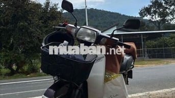 Bán chiến mã Super Dream mạnh mẽ, 12,5tr