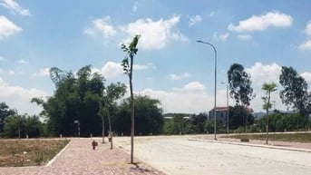 Bán đất nền tại Quốc Lộ 19, Nhơn Tân, An Nhơn, Bình Định, 870 triệu, 1