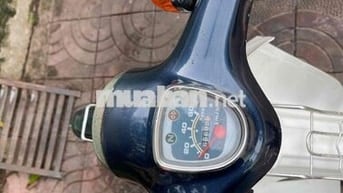 Honda Super Cub 50 màu xanh dương