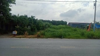 Bán đất Long An 500m MT Đường Đức Hoà Thượng