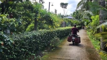 Bán nhà đất trồng cây lâu năm ( dừa ) thị trấn Châu Thành Bến Tre 