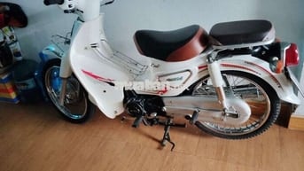 Cúp 50cc