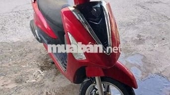 Acruzo fi bstp chứng giấy